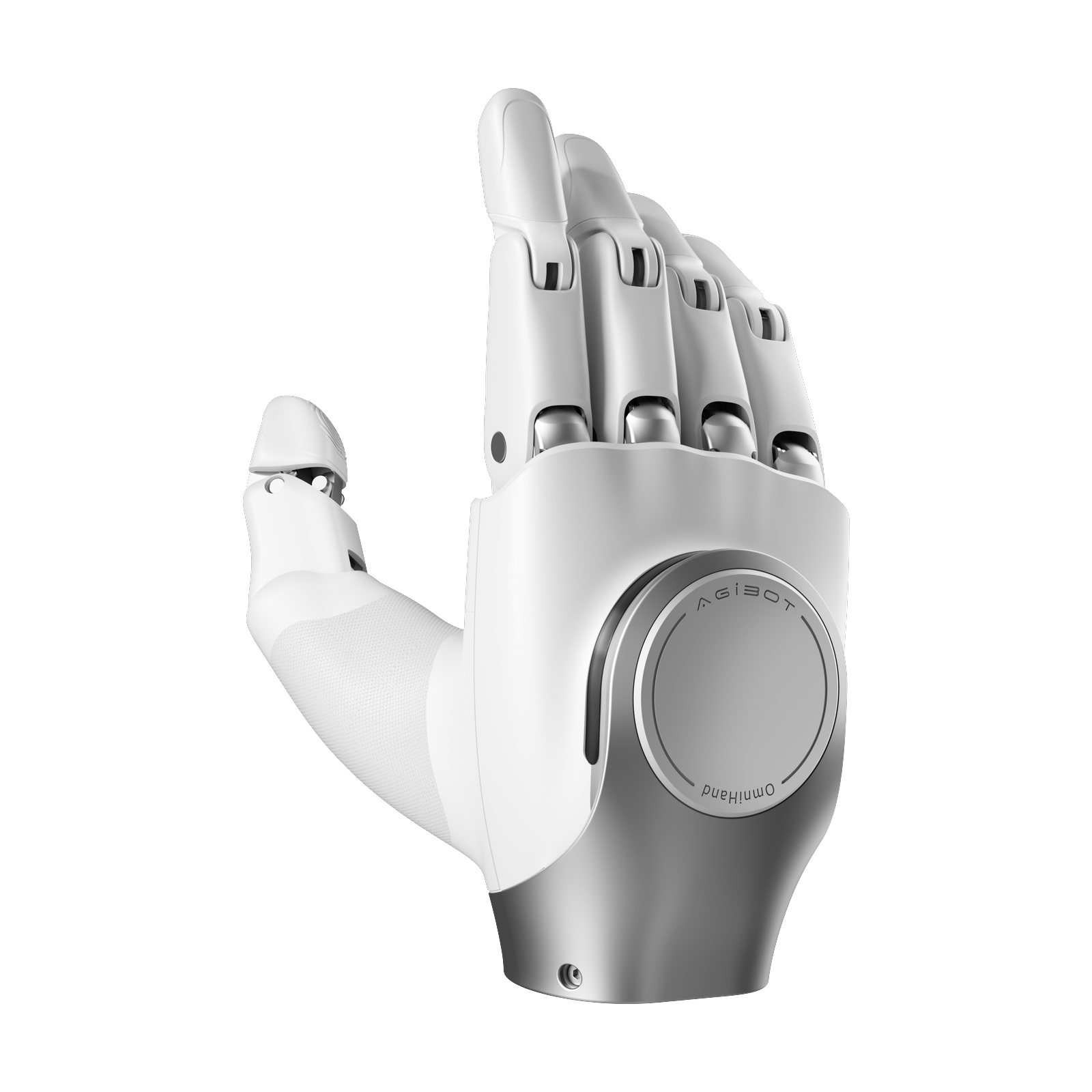 OmniHand 2025
