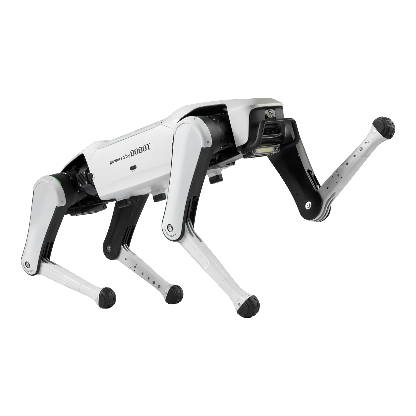 Dobot Rover X1 Explorer Sentinel (Max)